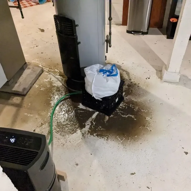 Sewage Backup Cleanup Service in Berry Creek, CA